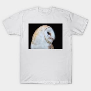 Close up view of a barn owl T-Shirt